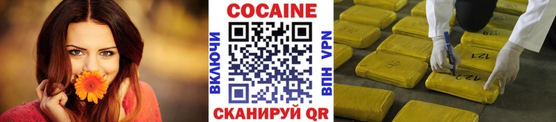 MEGA ссылки  Заречный  COCAIN Fish Scale 
