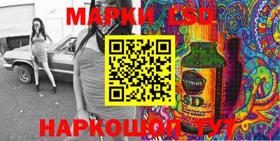 индика Пенза