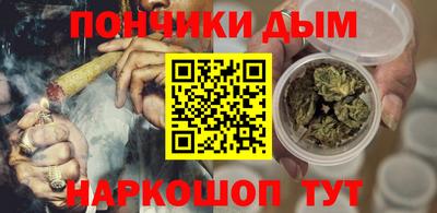 индика Пенза