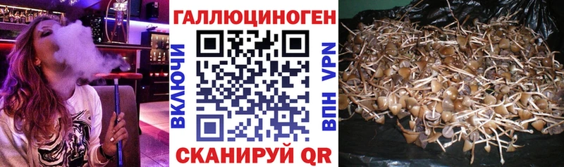 Галлюциногенные грибы Psilocybe  как найти закладки  Заречный 