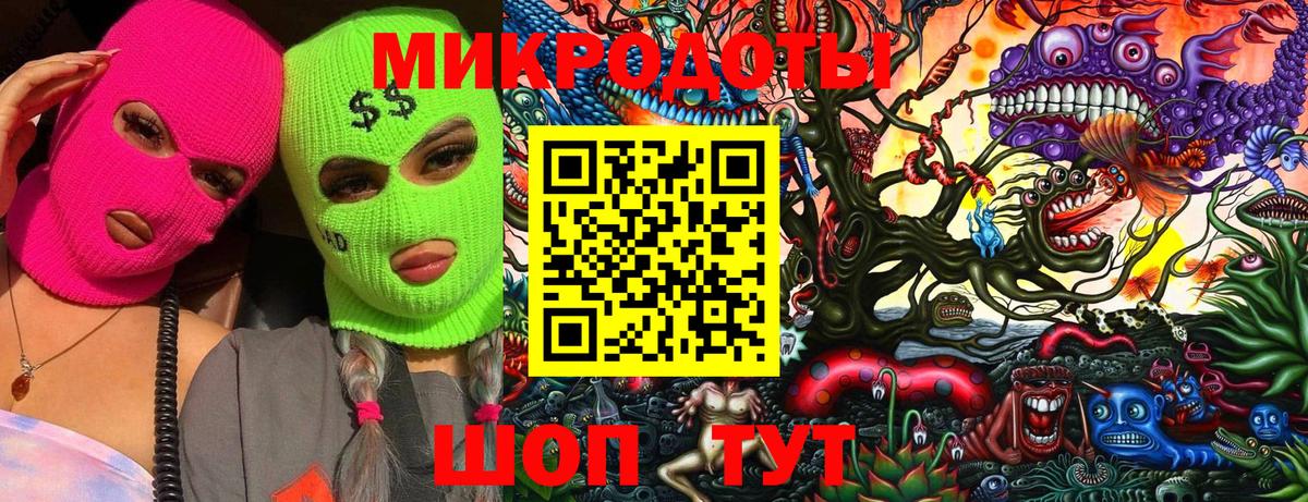 Псилоцибиновые грибы Psilocybine cubensis Заречный