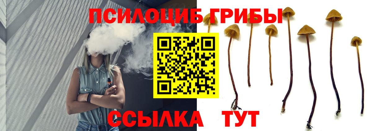 Галлюциногенные грибы ЛСД  Вход с VPN  Заречный 