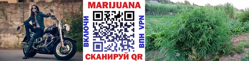 Конопля планчик  мориарти какой сайт  Заречный 